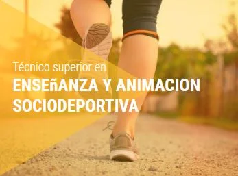 Inscripción CCFF Enseñanza y Animación Sociodeportiva